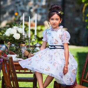 Janie and Jack Special Occasion Dress